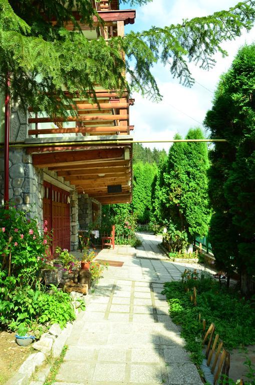 Pension Roni Busteni Exterior photo