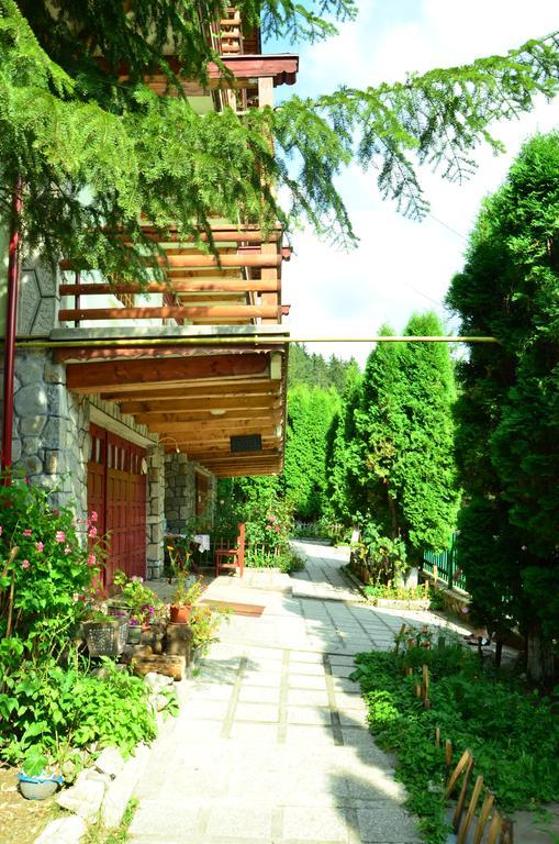 Pension Roni Busteni Exterior photo