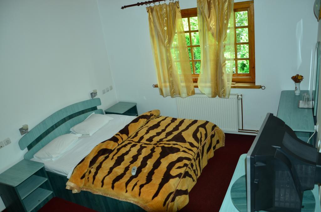 Pension Roni Busteni Room photo
