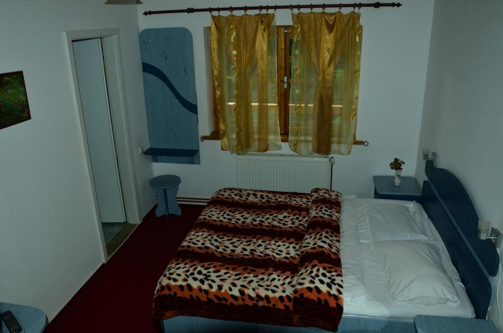 Pension Roni Busteni Room photo