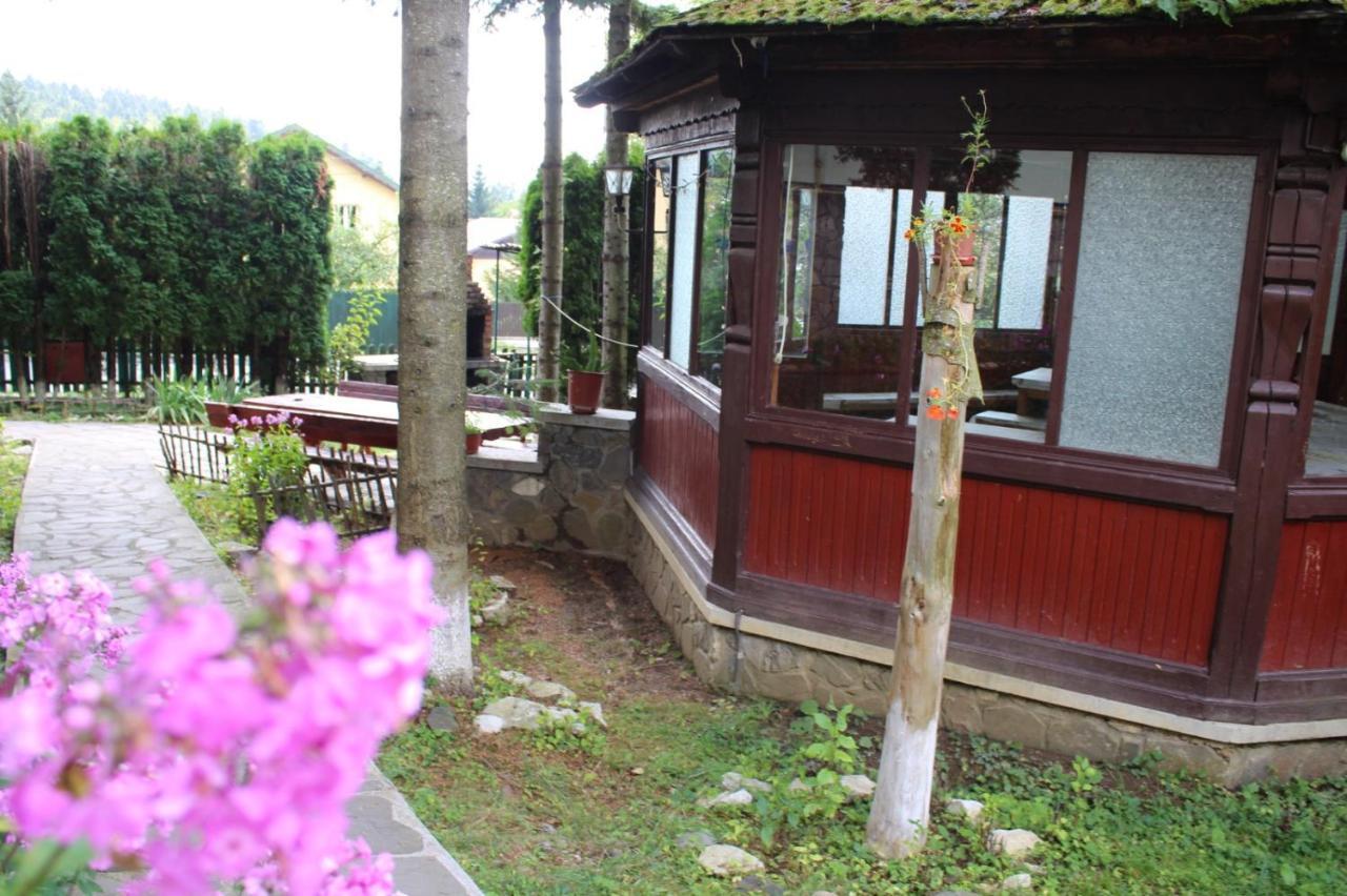 Pension Roni Busteni Exterior photo