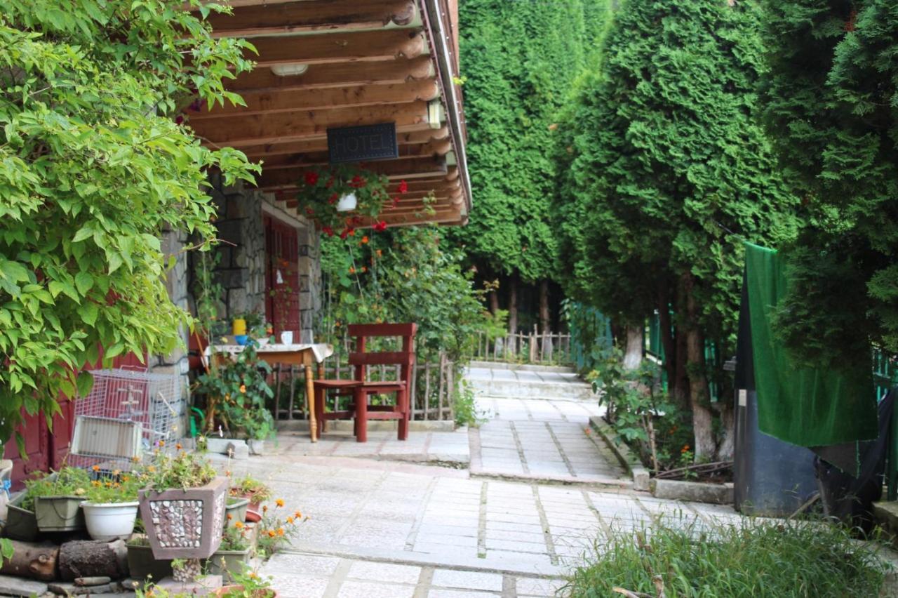 Pension Roni Busteni Exterior photo